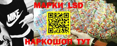 прущие грибы Абакан