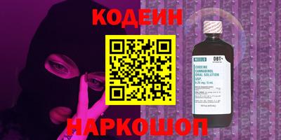 прущие грибы Абакан