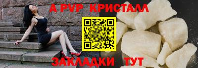 прущие грибы Абакан