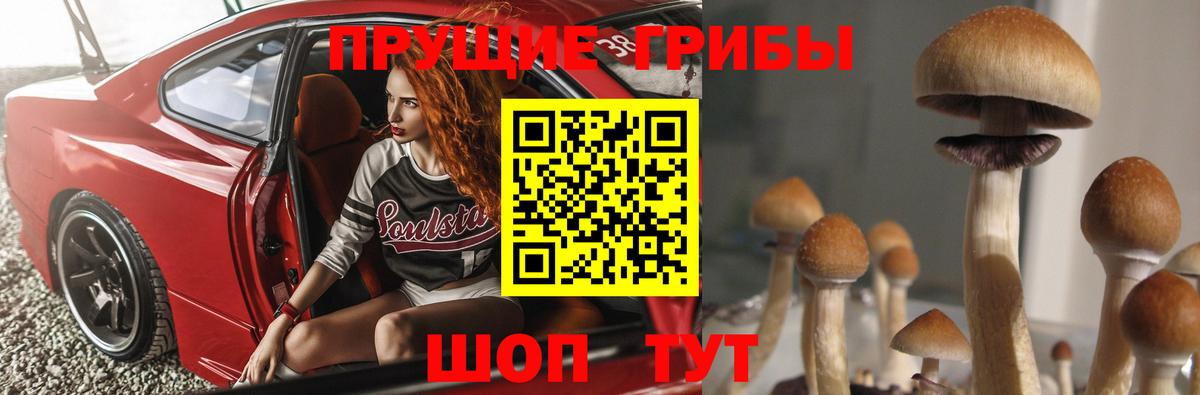 Псилоцибиновые грибы GOLDEN TEACHER  Вход с VPN  Асбест 